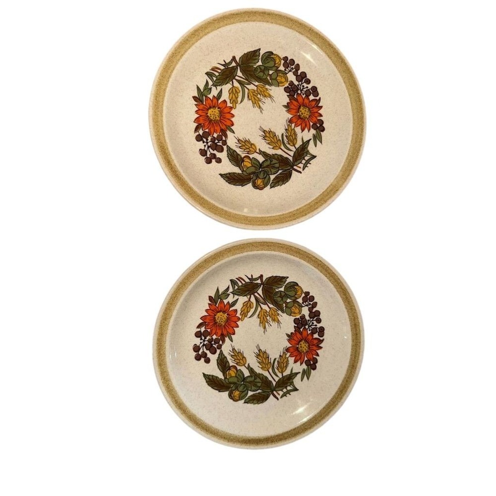 Lot of 2 Vtg International China Floral salad‎ Plates Country Living 7" harvest